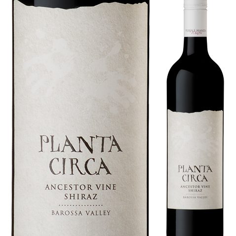 Planta Circa Ancestor Vine Barossa Valley Shiraz 2023